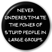 never_underestimate_the_power_of_stupid_people